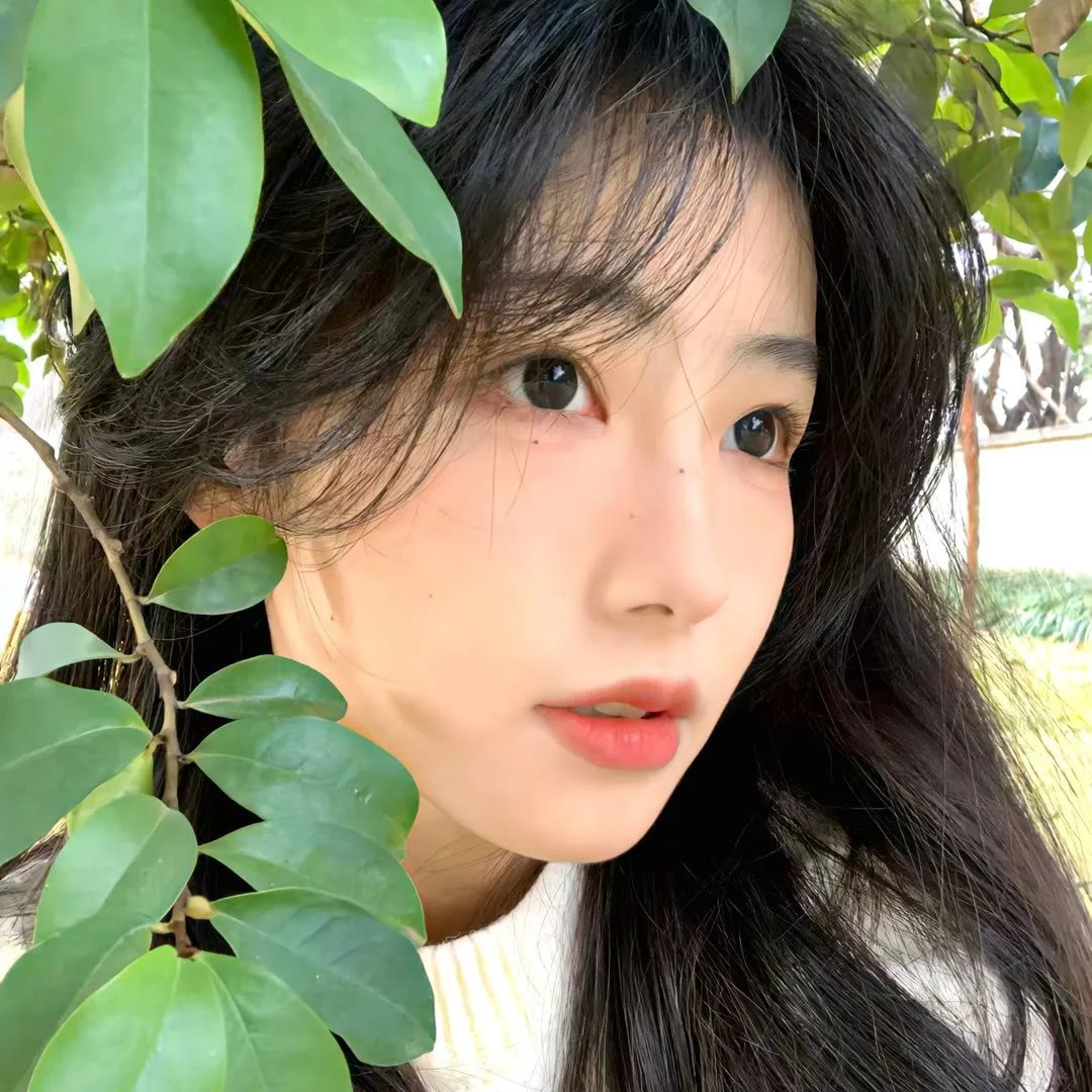 欢迎来到丛林